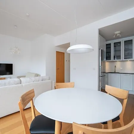 Appartement Penthouse In Centre *